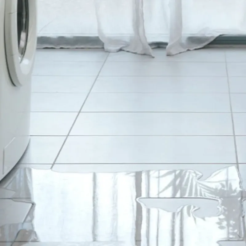 Appliance Leak Cleanup in Marion County, AR