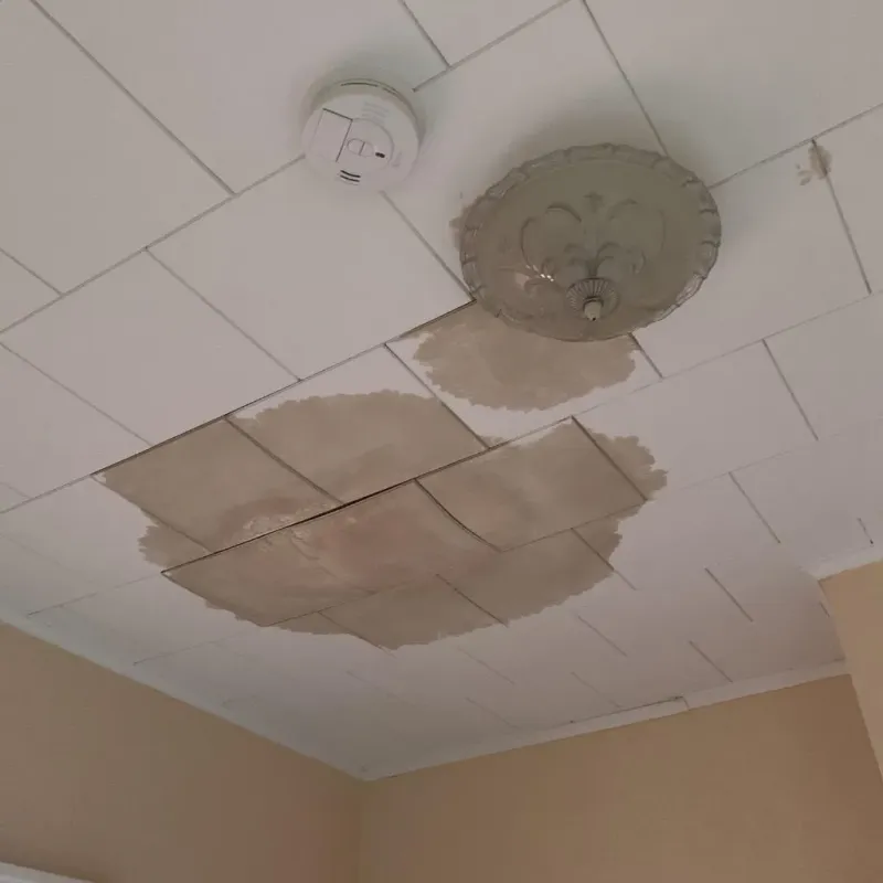 Ceiling Water Damage Repair in Marion County, AR