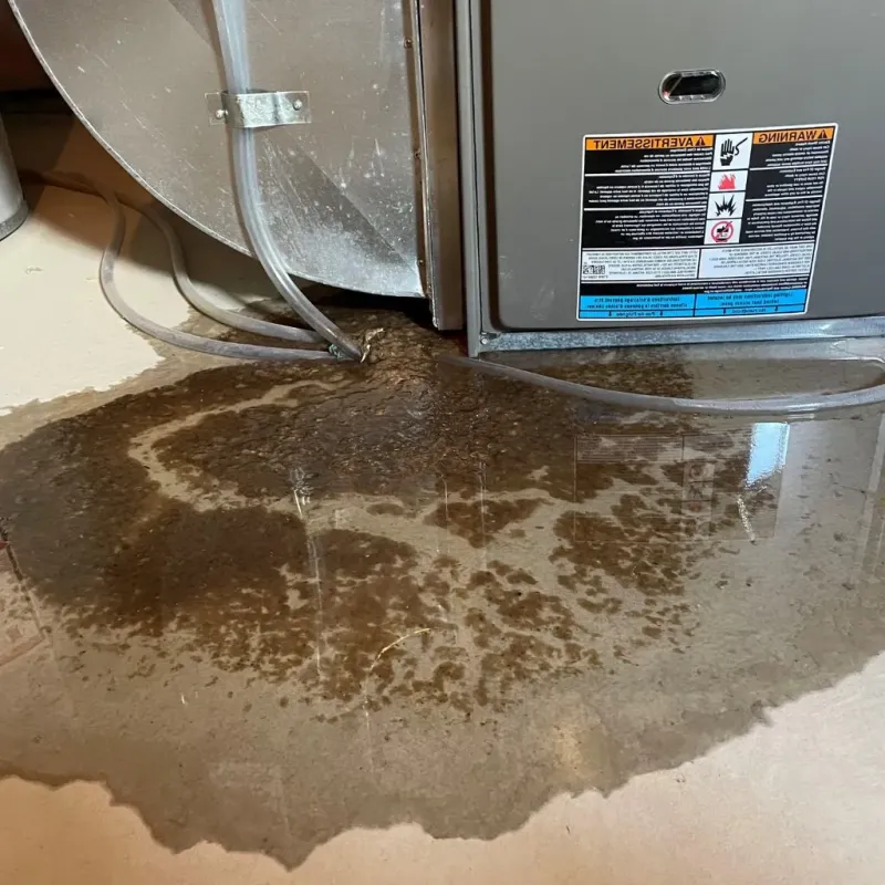 Pipe Burst and Leak Restoration in Marion County, AR