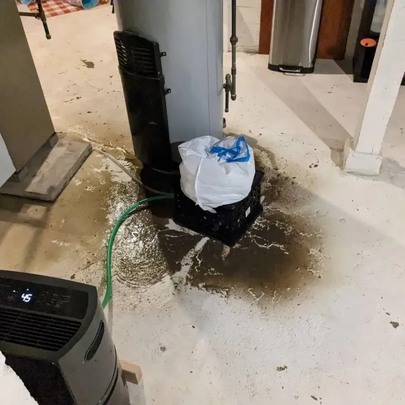 Sewage Backup Cleanup Service in Marion County, AR